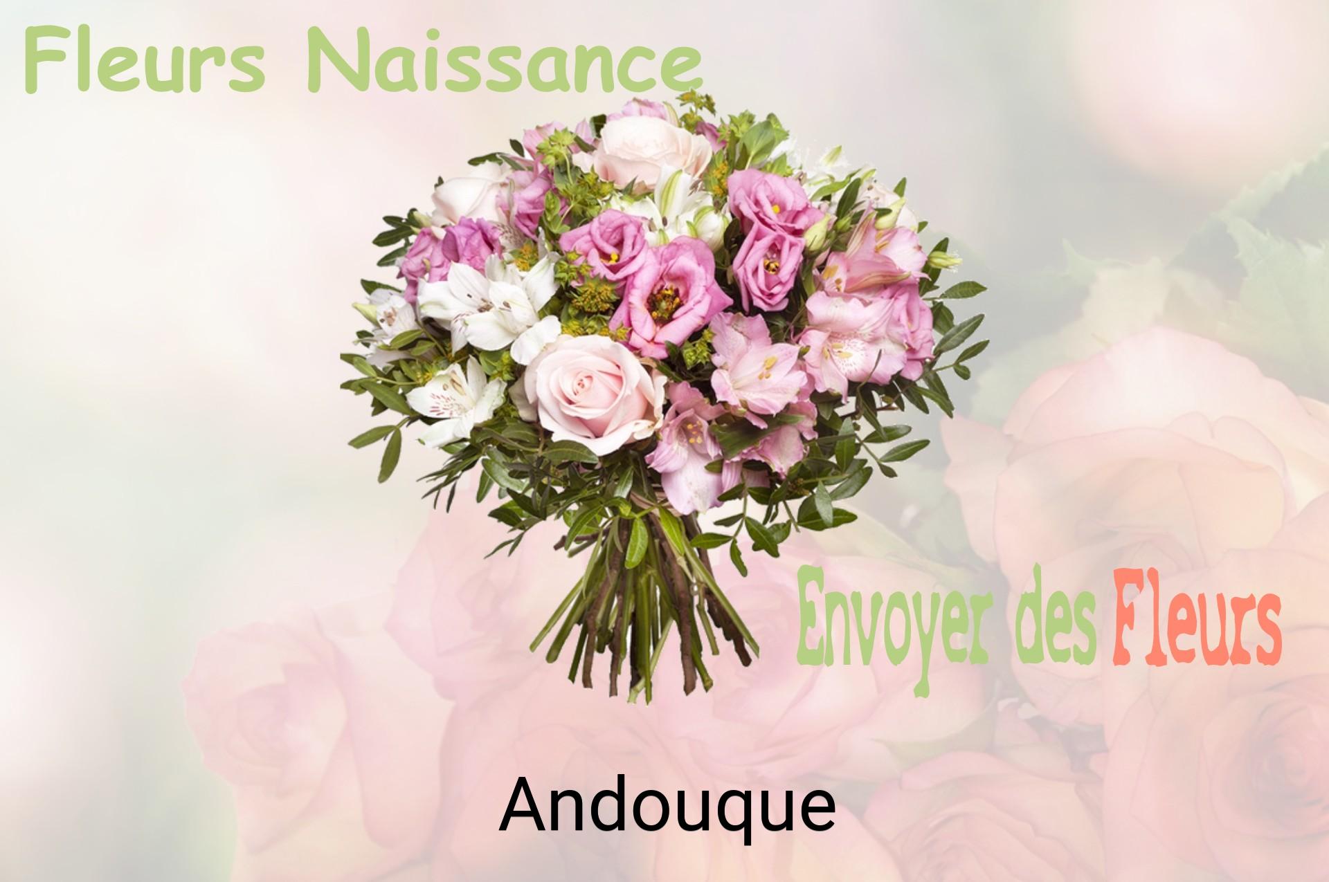 Bouquet de fleurs de naissance livré à Andouque